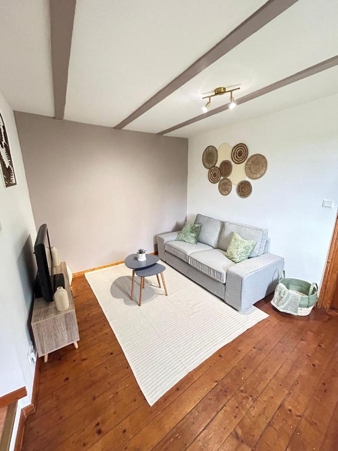 Le Cocon Du Vignoble - Free Wifi - Netflix Apartment Turckheim Exterior photo